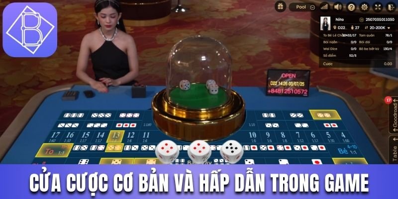 Cửa cược cơ bản và hấp dẫn trong game